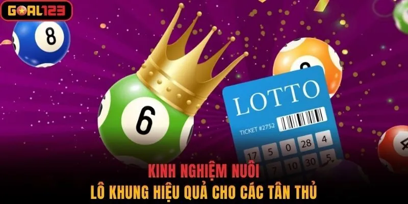 Kinh nghiệm nuôi lô khung hiệu quả cho các tân thủ