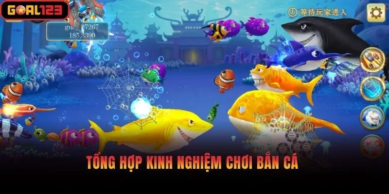 Tổng hợp kinh nghiệm chơi bắn cá